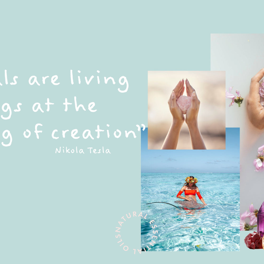 Quote by Nikola Tesla: 'Crystals are living beings at the beginning of creation.' Image shows female hands holding a large Rose Quartz crystal, a woman in Bora Bora's clear blue waters with a stingray, and a selection of crystal quartz points on a light teal background.