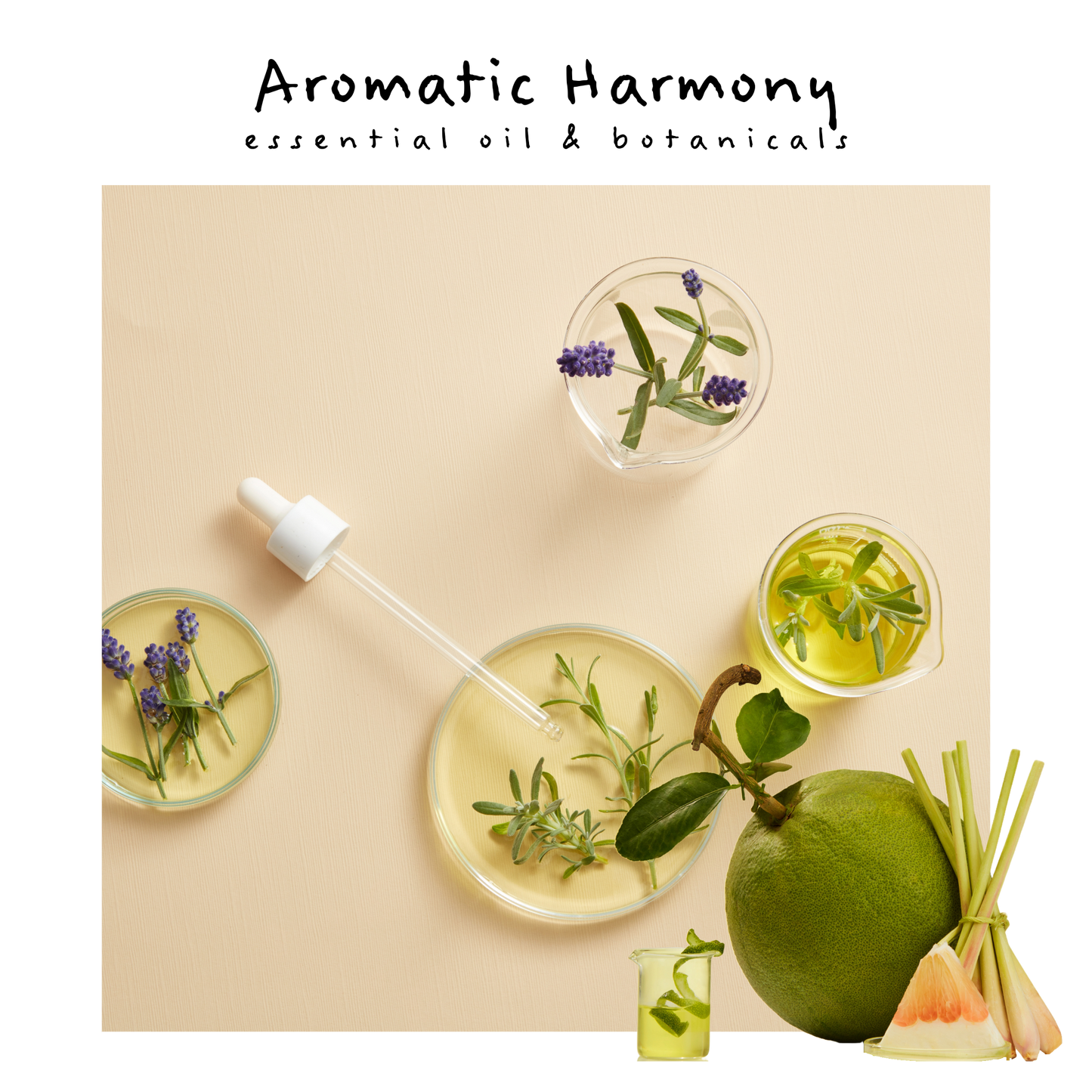 image of essential oils in petri dishes, wild lavender, pomelo and sage with a fresh whole pomelo and lemongrass and beaker set to the right side.